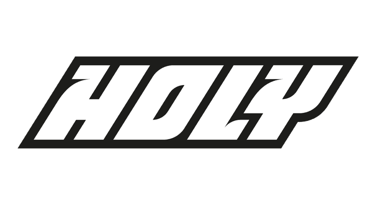 HOLY Logo